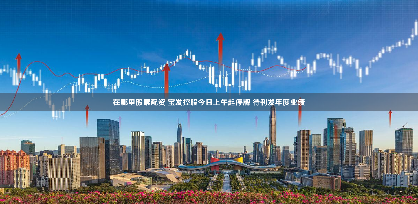 在哪里股票配资 宝发控股今日上午起停牌 待刊发年度业绩