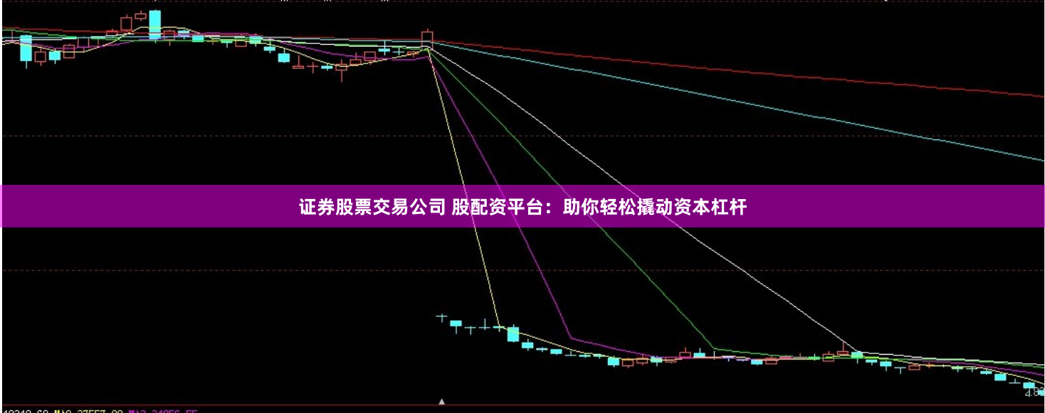 证券股票交易公司 股配资平台：助你轻松撬动资本杠杆